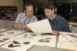 Drs. Eldis Bécquer (l.), Jardín Botánico Nacional, and Fabián Michelangeli (r.), NYBG, examine plant specimens in the William and Lynda Steere Herbarium as part of a collaborative conservation research project. Courtesy The New York Botanical Garden